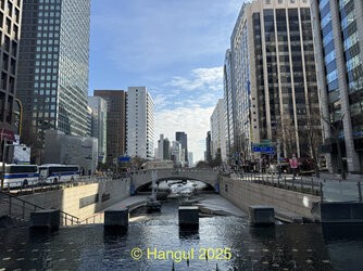 IMG_2506 2.jpeg