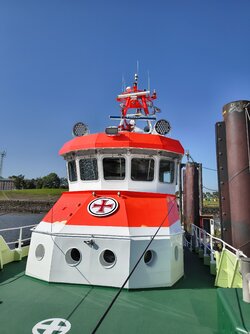 IMG_20250813_103044347_HDR.jpg