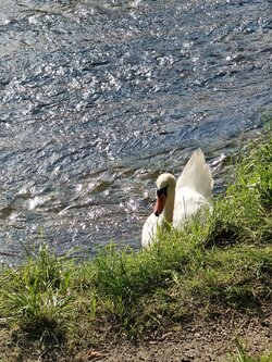 IMG20250813173846~2.jpg