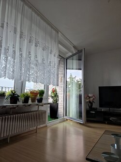 20250814_090524.jpg