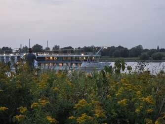 20250813_211800.jpg