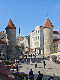 IMG_20250814_132620.jpg