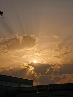 IMG_20250814_073658.jpg