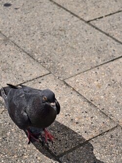 IMG_20250812_143414.jpg
