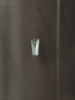 IMG_20250811_223424.jpg