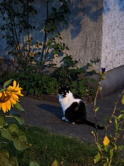 IMG_20250811_213211.jpg