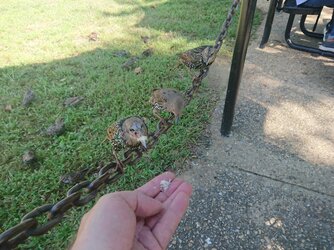 20180929_142422.JPG