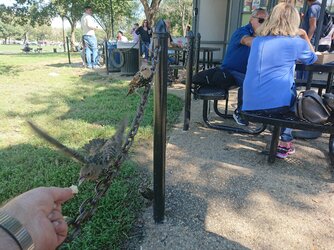 DSCPDC_0000_BURST20180929141855159.JPG
