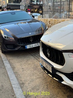 IMG_2282.jpeg