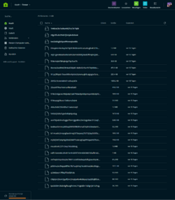 Koofr-›-Tresor-Koofr-08-15-2025_07_02_AM.png