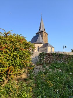 IMG_20250815_085628.jpg