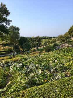IMG_20250815_090150.jpg