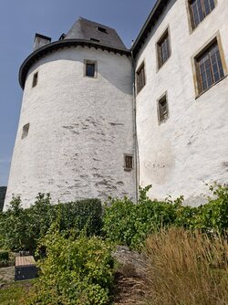 IMG_20250815_135236.jpg