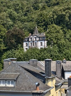 IMG_20250815_135448.jpg
