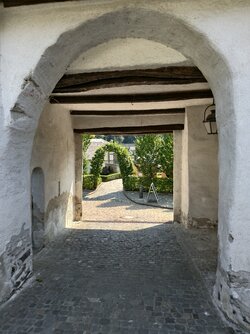 IMG_20250815_135654.jpg