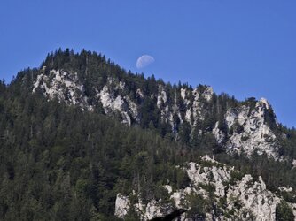 IMG_20250815_101037.jpg