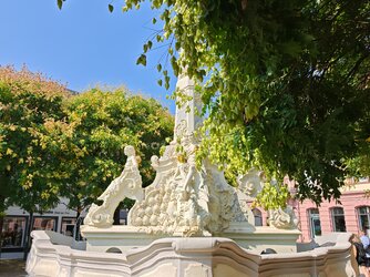 IMG_20250812_115236.jpg