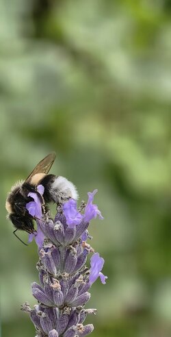 IMG_20250726_153621.jpg