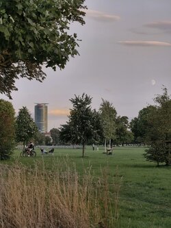 IMG_20250805_205638.jpg