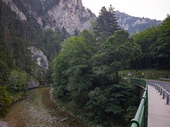 IMG_20250815_081229.jpg