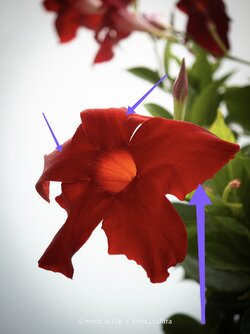 IMG_20250816_130411.jpg