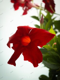 IMG_20250816_125825.jpg