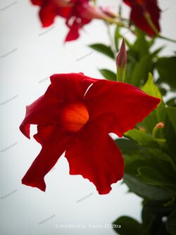 IMG_20250816_125735.jpg