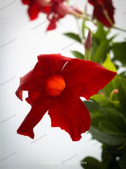 IMG_20250816_125642.jpg