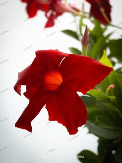 IMG_20250816_125521.jpg