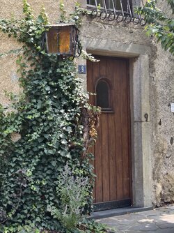 IMG_20250816_144211.jpg