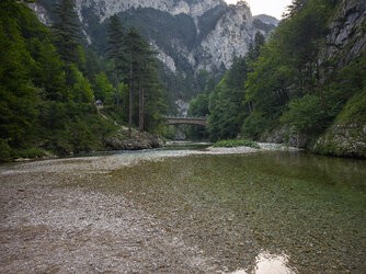 IMG_20250815_081938.jpg