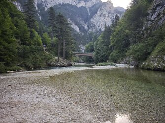 IMG_20250815_081938.jpg