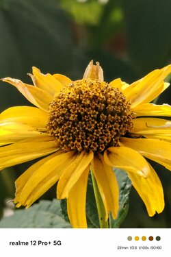 IMG20250816172453~2.jpg