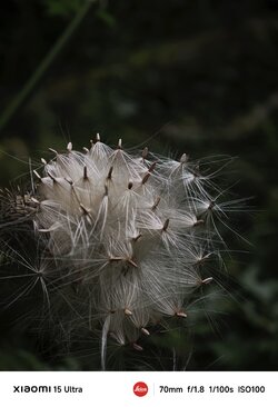 IMG_20250816_223537.jpg