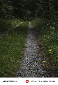 IMG_20250816_225246.jpg