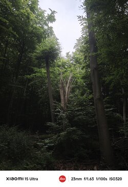 IMG_20250816_225306.jpg