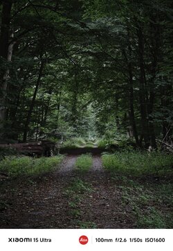 IMG_20250816_230440.jpg