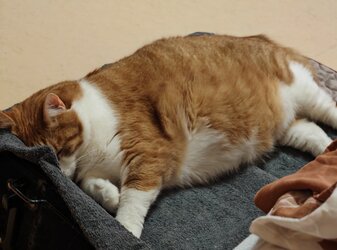 IMG_20250816_080331~2.jpg