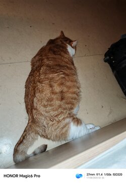 IMG_20250817_025642.jpg
