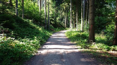 20250810_160520680.jpg