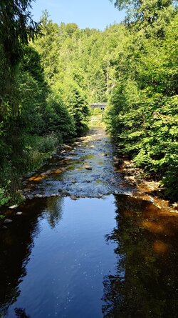 20250810_160739099.JPG