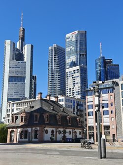 IMG_20250817_113736.jpg