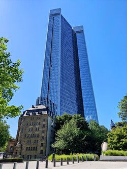 IMG20250817132251-EDIT.jpg