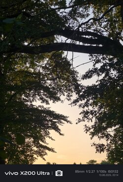 IMG_20250813_201407.jpg