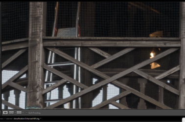 Proshot.png