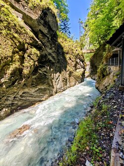IMG20250811130048-EDIT.jpg