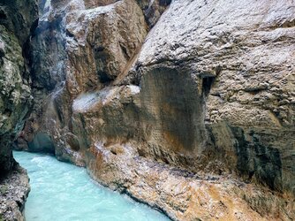 IMG20250811133235-EDIT.jpg