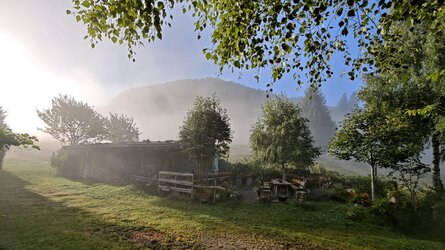20250818-075819-006HX5a.jpg