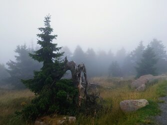 20250810_054402717.JPG