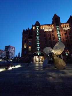 20250818_052629956.JPG